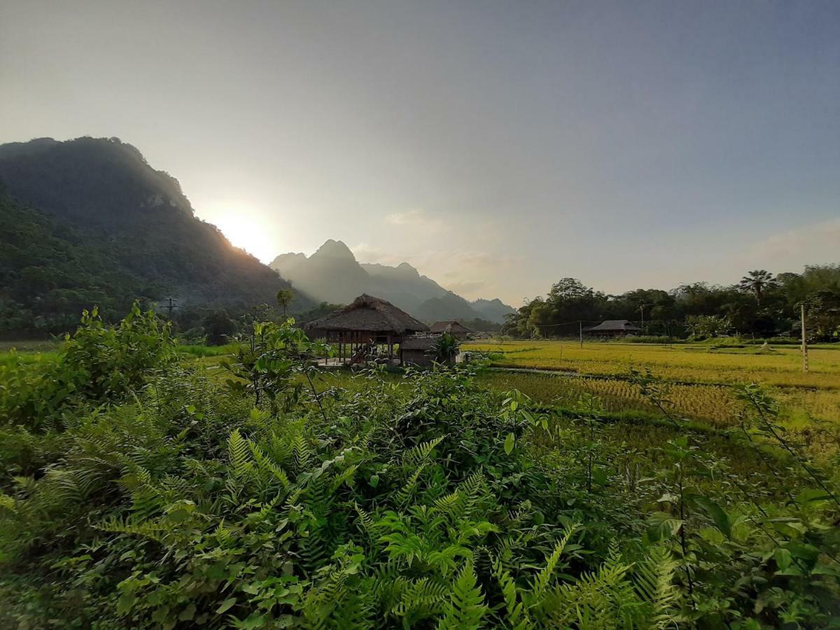 Xoi Farmstay - Eco Homestay Luc Yen Yen Bai Экстерьер фото